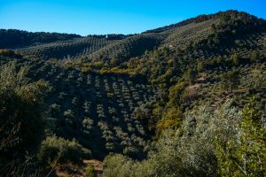 Sierra de Segura, Cazorla y Las Villas