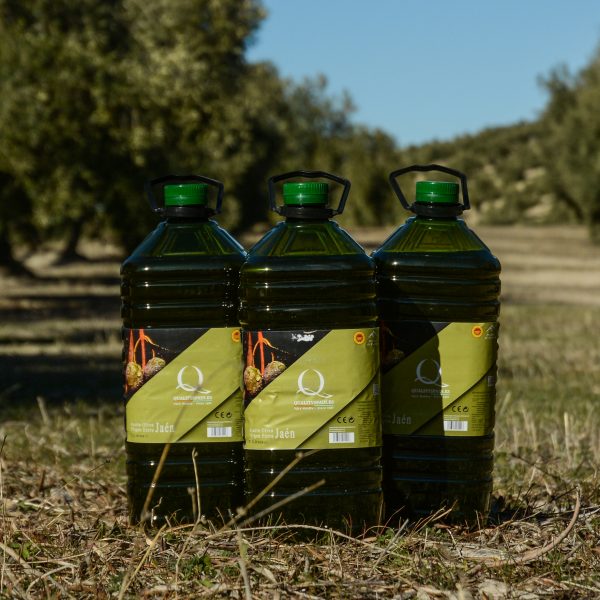 AOVE GARRAFA 5L Virgen Extra (Caja 3 Unds)